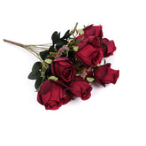 11 Heads Rose Bush 50cmH